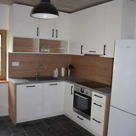 Apartament U Mlynaru *